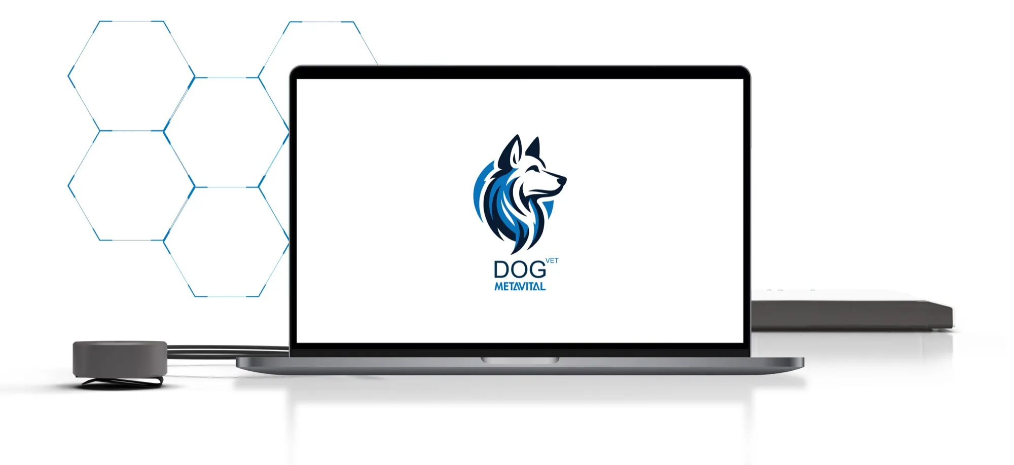 Laptop mit dem Startbild von METAVITAL DOG Vet, einem stilisierten Hundekopf in Blau, daneben ein runder Sensor und die flache Systembox